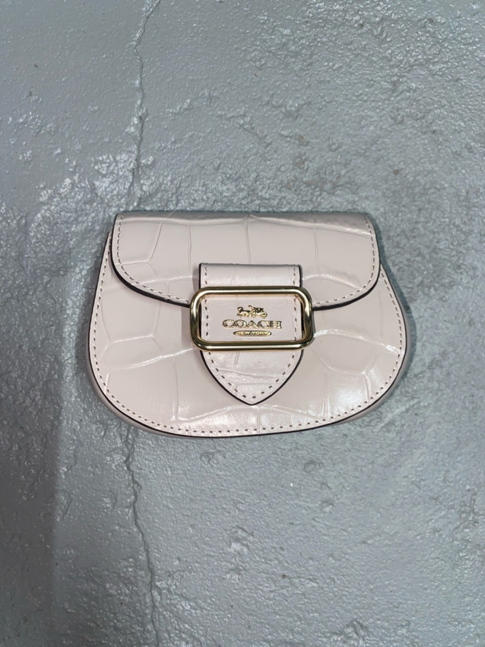 Morgan Card Case on a Chain